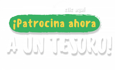PATROCINA AHORA